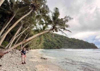 Samoan Island Witnesses Explosion of Native Wildlife Following Removal of Invasive Rats and Pigs