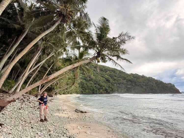 Samoan Island Witnesses Explosion of Native Wildlife Following Removal of Invasive Rats and Pigs