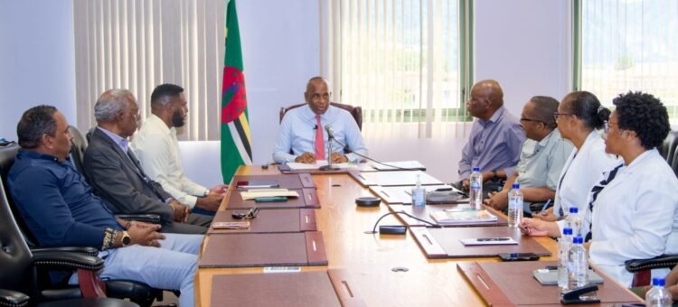 Weekly reporting committee to address hospital doctors’ pay issues announced by Skerrit