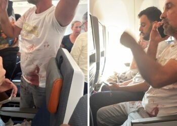 “The plane was going into a nosedive”: the story of the Indian pilot stabbed on the Flydubai flight