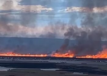Puno: Large fire affects the reeds of Lake Titicaca