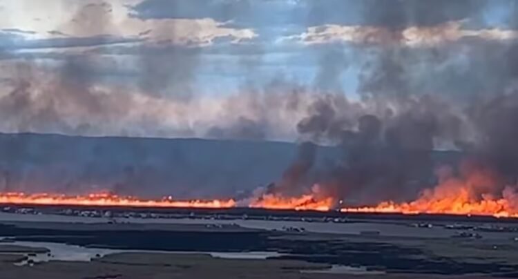 Puno: Large fire affects the reeds of Lake Titicaca