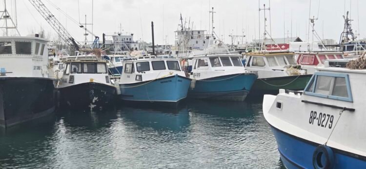 Rising costs, tighter credit squeeze fisherfolk