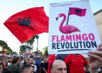 The anti-bubble of neo-Marxism – Shqip.com
