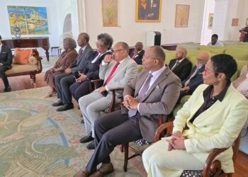 PM Mottley hints more Senate changes as youngest member sworn in
