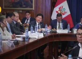 Congress| Deputies| Guillermo Shinno of Minem denies that the MAPE Law is “an amplified Reinfo”: all the details of what his presentation left Illegal mining Informal Mining