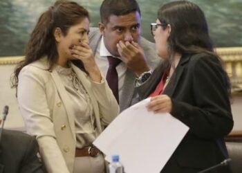 Delegation of powers LIVE Constitution Commission debates substitute text in favor of the Government’s partial request