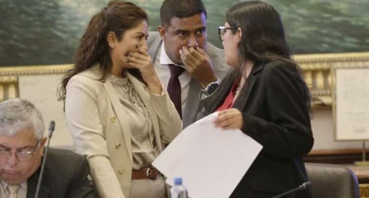 Delegation of powers LIVE Constitution Commission debates substitute text in favor of the Government’s partial request