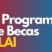 US Embassy calls on Venezuelan entrepreneurs to apply for the YLAI 2027 program
