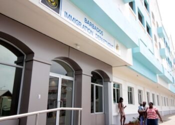 Cannabis offender handed over to Immigration