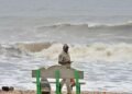Tamil Nadu may encounter El Niño differently from rest of India