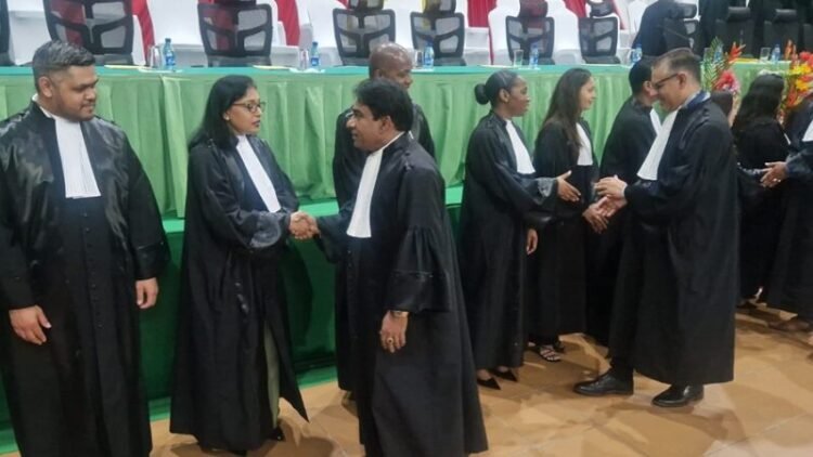 Fifteen new judges installed: ‘This reinforcement will be important for all of us’ – de Ware Tijd