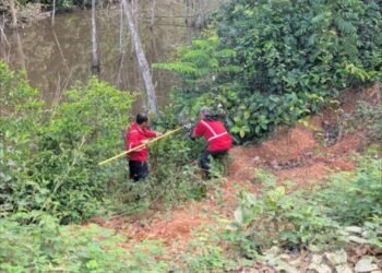 NMA is working on a legal basis for environmental inspectors: ‘There is political will’ – De Ware Tijd