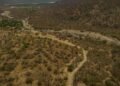 Más de 3 millones de hectáreas de bosque seco resisten en el norte: la lucha por recuperar un ecosistema degradado
