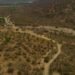 Más de 3 millones de hectáreas de bosque seco resisten en el norte: la lucha por recuperar un ecosistema degradado
