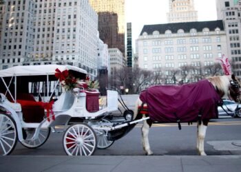 New York City set to end horse-drawn carriages under law named after Indian tourist