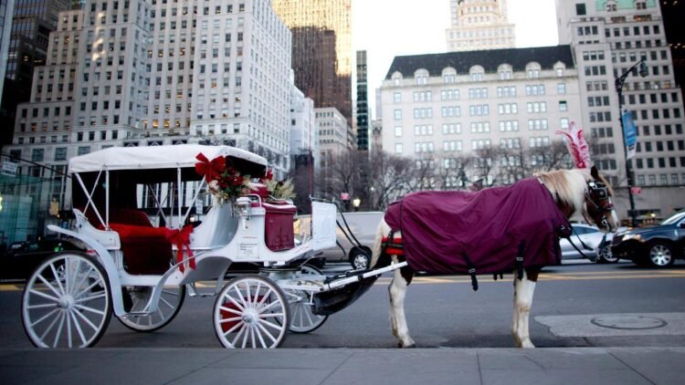 New York City set to end horse-drawn carriages under law named after Indian tourist