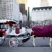 New York City set to end horse-drawn carriages under law named after Indian tourist