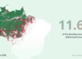 The riotous world of 2026 (7): Elections in Brazil: the Amazon and the future of South America – the True Time
