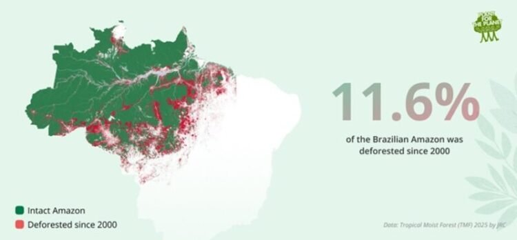 The riotous world of 2026 (7): Elections in Brazil: the Amazon and the future of South America – the True Time