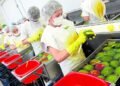 Midagri: agricultural exports exceed US$8.3 billion and the United States remains the main market