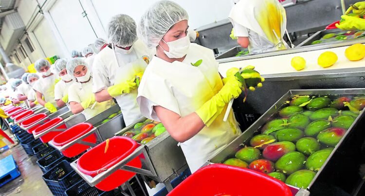Midagri: agricultural exports exceed US$8.3 billion and the United States remains the main market