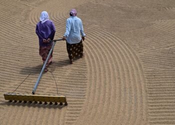 Extreme weather, harmful chemicals escalating health risks among food workers, finds global report