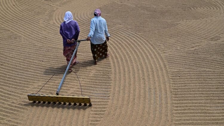 Extreme weather, harmful chemicals escalating health risks among food workers, finds global report