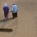 Extreme weather, harmful chemicals escalating health risks among food workers, finds global report