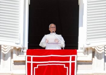 The Vatican reveals that the tumor removed from Pope Leo XIV was cancerous