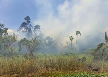 Smoke nuisance caused by the Commewijne forest fire is increasing – the True Time