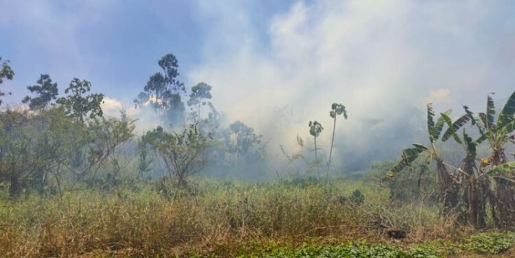 Smoke nuisance caused by the Commewijne forest fire is increasing – the True Time