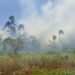 Smoke nuisance caused by the Commewijne forest fire is increasing – the True Time