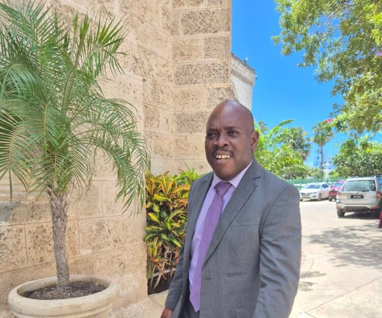 Straughn urges checks on online financial platforms