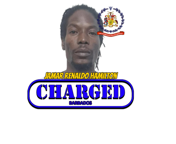 St Thomas man charged with stone-throwing, criminal damage