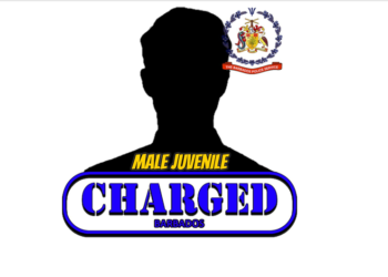 Teen remanded on five charges linked to Breast Cancer Walk