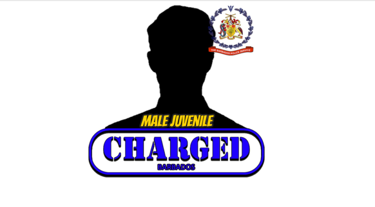 Teen remanded on five charges linked to Breast Cancer Walk