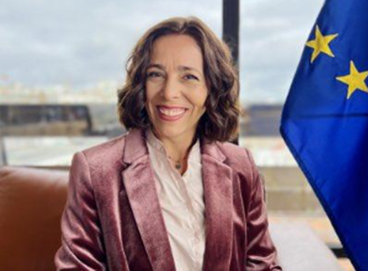 EU Ambassador in Tirana, Sofia Moreira: Albania still has “homework” to fulfill – Shqip.com
