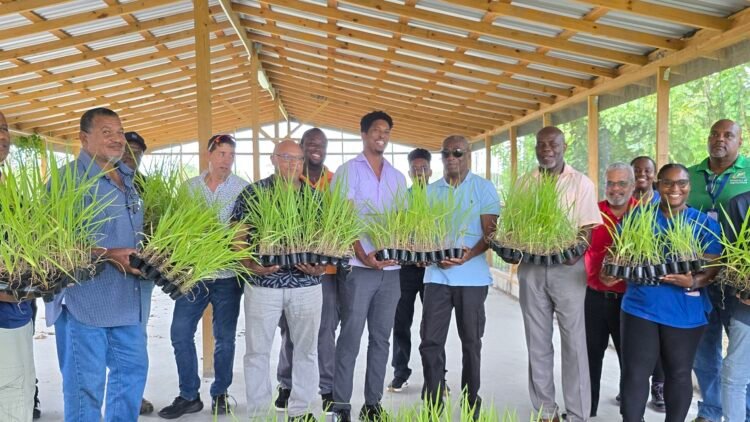Feed project to help livestock farmers prepare for drought
