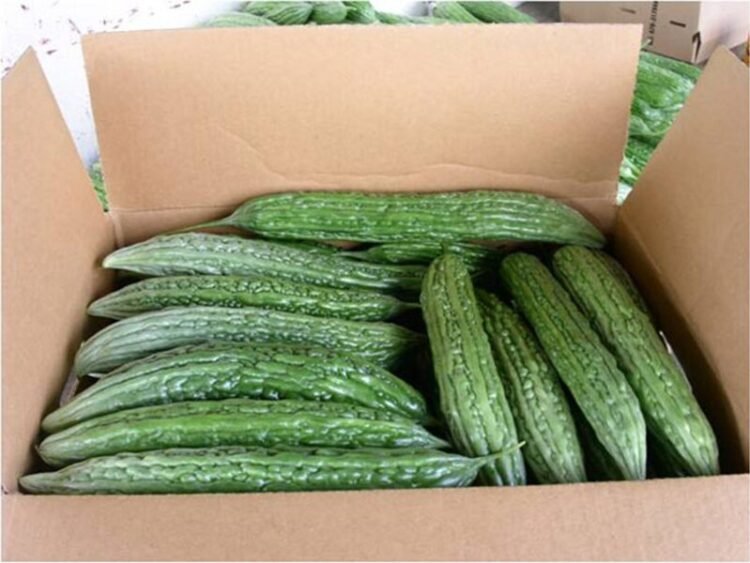 REVIEW — The price of a lax government: how Suriname loses its vegetable exports – de Ware Tijd