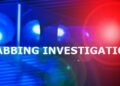 One dead, woman detained in stabbing incident