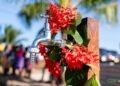 Sunny Point gets access to clean drinking water – the True Time