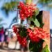 Sunny Point gets access to clean drinking water – the True Time