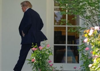 U.S. immigration restrictions may outlast Trump