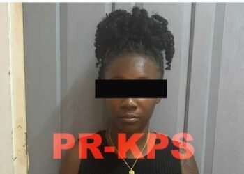 Police arrest second woman in case surrounding video of Rosco – de Ware Tijd