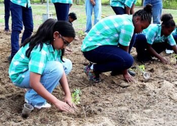 World Food Day: LVV wants to encourage young people to take advantage of opportunities in agriculture – the True Time
