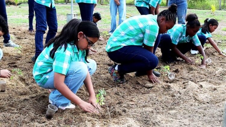 World Food Day: LVV wants to encourage young people to take advantage of opportunities in agriculture – the True Time