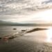 Low water level in Lake Zurich reveals new island