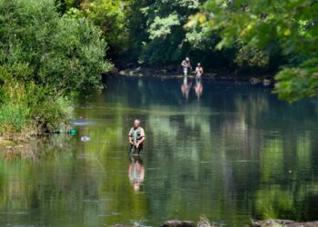 Nearly 9,600 fish saved in Jura rescue operation