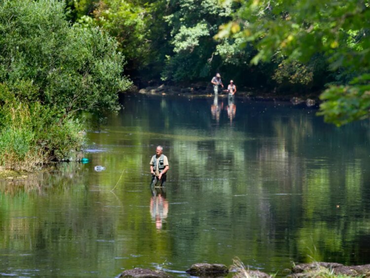 Nearly 9,600 fish saved in Jura rescue operation